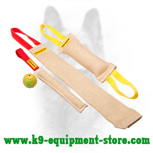 Jute Canine Bite Set for Puppy Training