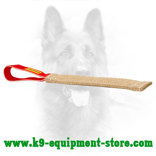 Jute Canine Bite Tug for Primary Puppy Training