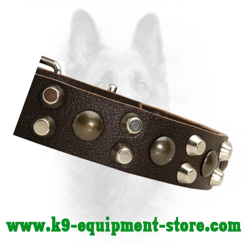 Brass Cones And Nickel Studs Riveted to K9 Dog Collar