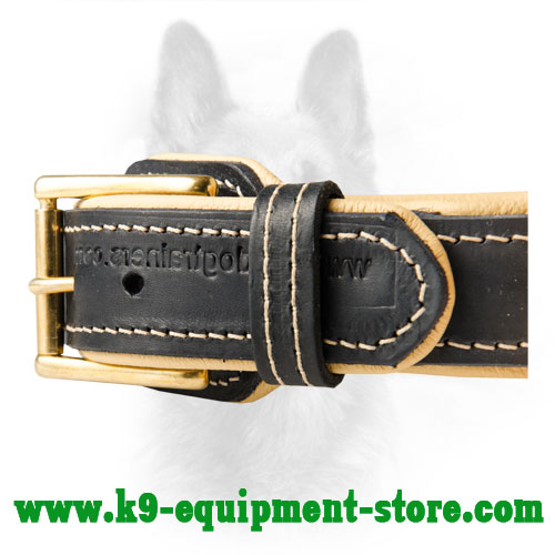 Brass Hardware Stitched to K9 Leather Collar