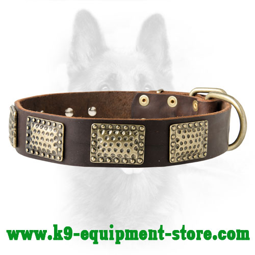 K9 Leather Collar with Rust-proof Brass Plates