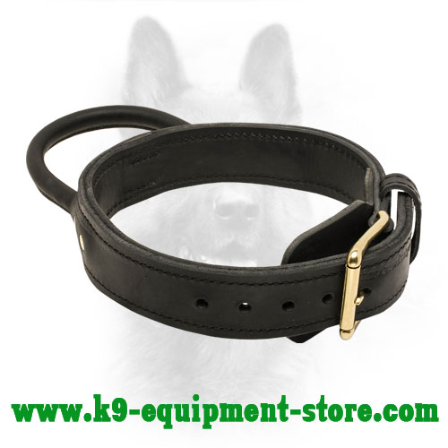 Leather Collar for K9 with Stitched Handle and Gold-like Hardware