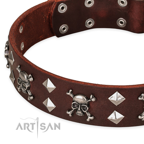 Everyday leather dog collar for reliable usage