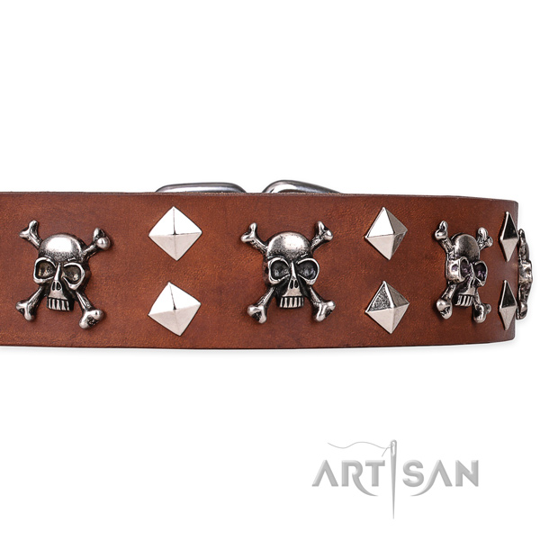 Daily leather dog collar with unique design adornments
