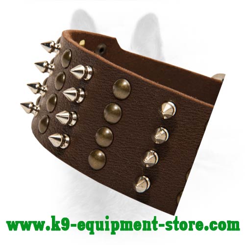 Nickel Spikes and Brass Studs Hand Set on Leather Collar for Stylish Look of Your Canine