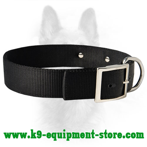 Nylon Dog Collar for K9 All Weather Walking