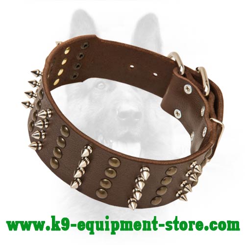 Daily Walking Leather Collar for Canine with Rust-proof Decoration