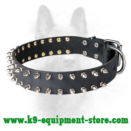 Leather Spiked Collar for Canine Walking in Style 