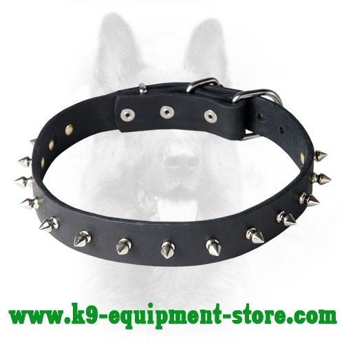 Leather K9 Collar with Hand Set Nickel Spikes