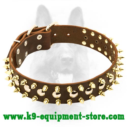 Leather K9 Dog Collar with Durable Fittings