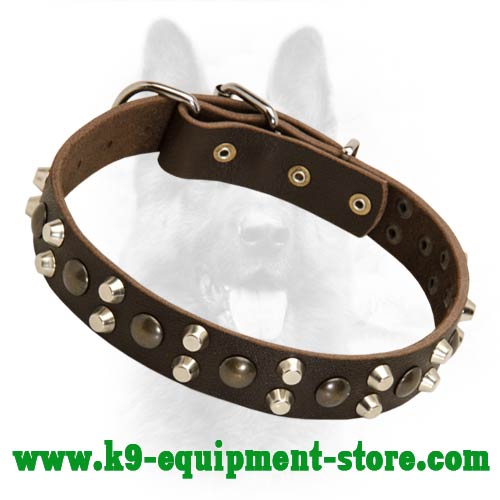 Leather Collar for Police Dog with Brass Studs and Nickel Pyramids