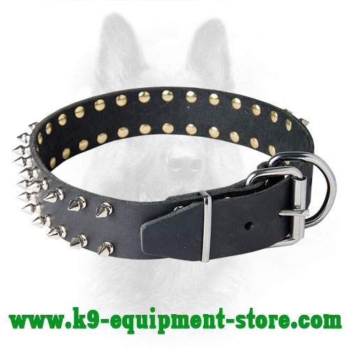 Canine Leather Collar with Silver-like Fittings