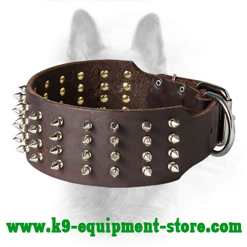 Wide Spiked Leather Collar for Canine Walking in Style