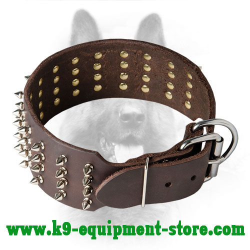 Spiked Canine Wide Leather Collar with Rust Resistant Hardware