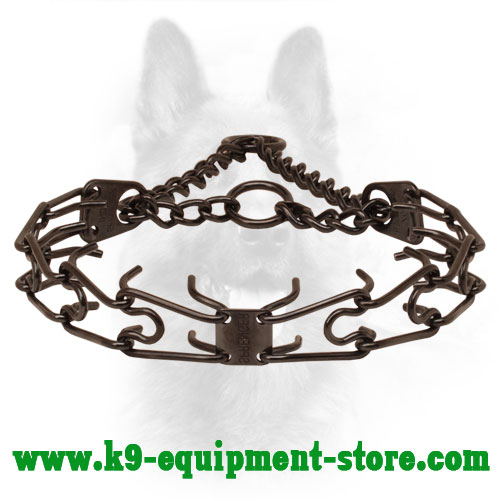 Canine Pinch Collar Made of Black Stainless Steel