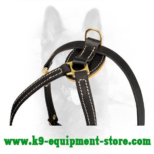 Brass D-ring For Leash Attachment on Dog Harness