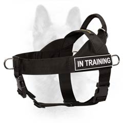 Canine Nylon Harness with Patches for Dog Identification