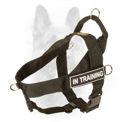 Nylon Dog Harness with Be-in-control Handle