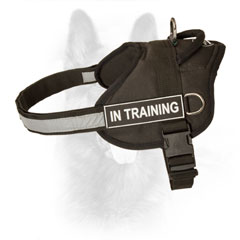 K9 Dog Harness Nylon with Stitched D-ring