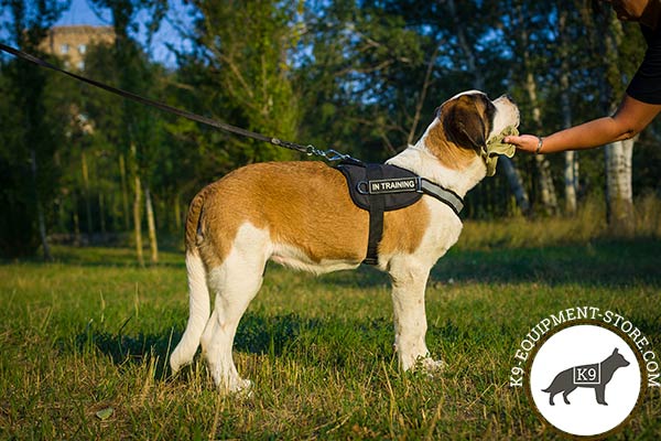 Moscow Watchdog nylon harness   