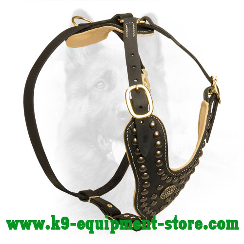 Leather Dog Harness for K9 Walking in Style