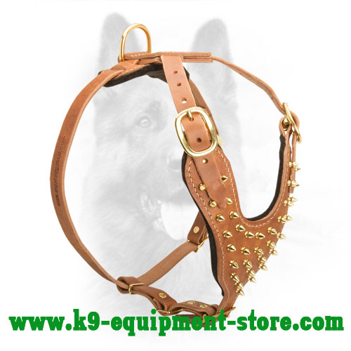 Leather K9 Harness with Brass Spikes