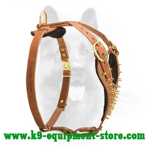Leather Canine Harness for Walking