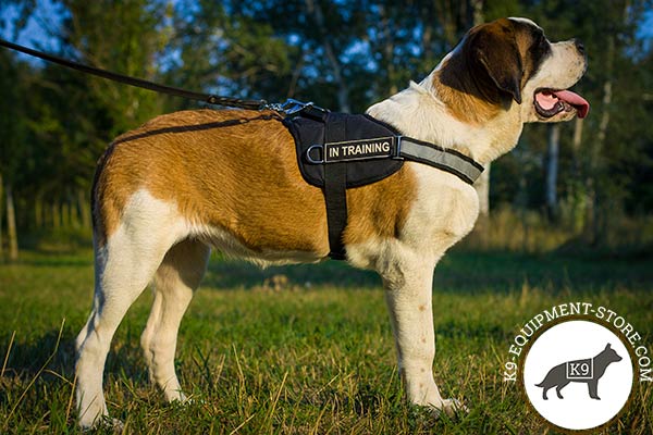 Lightweight Russian Watchdog harness