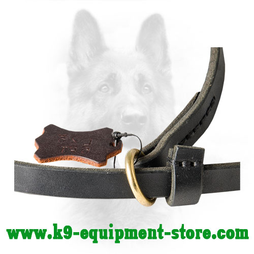 Rust Resistant Brass Floating Ring of Leather Dog Leash
