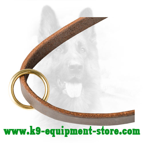 Floating Ring Made of Brass on Leather Dog Leash