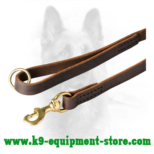 Rust Resistant Brass Hardware of Leather Dog Leash