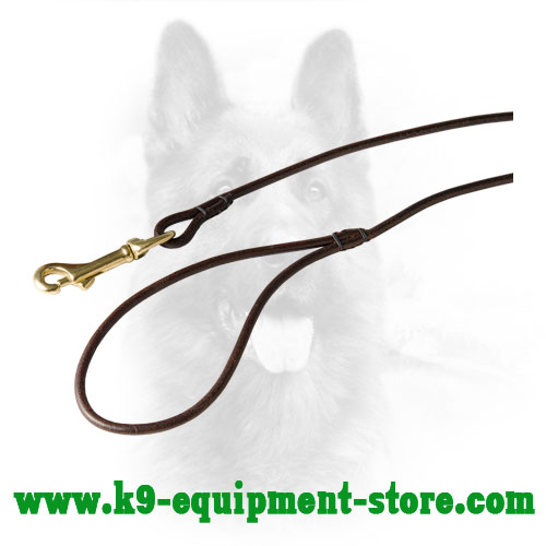 Leather Dog Lead with Brass Snap Hook
