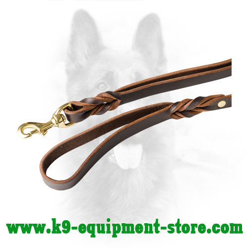 Rust Resistant Brass Snap Hook of Leather Dog Leash