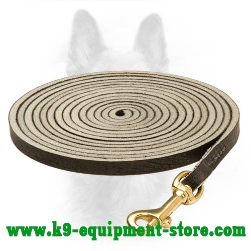 K9 Dog Leash With A Durable Brass Snap Hook