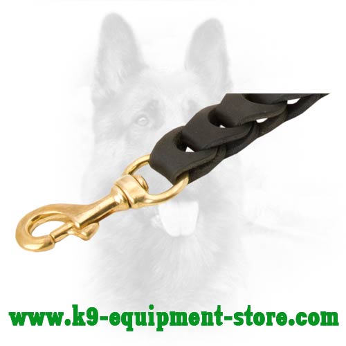 Nappa Padded On The Handle Leather Dog Leash