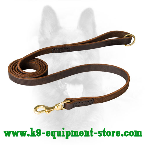 Daily Walking Leather Dog Lead
