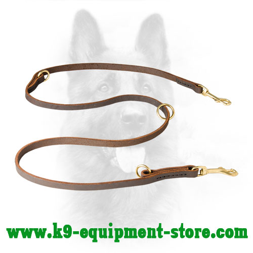 Multimode Leather Dog Leash Brown