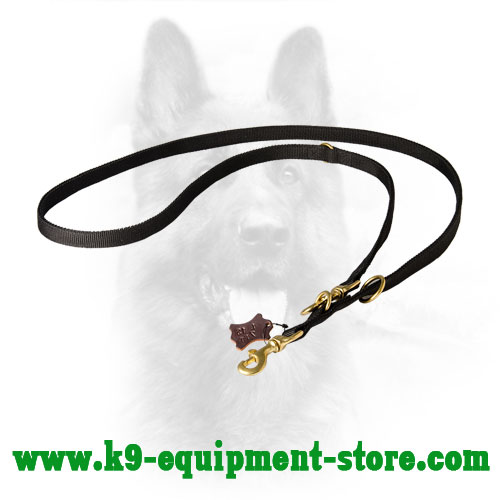 Leather Dog Lead Multimode