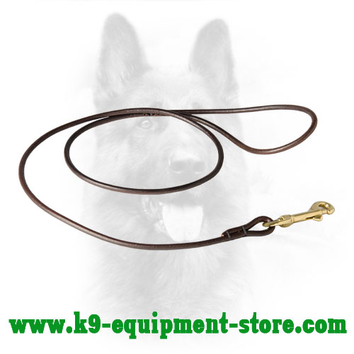 Round Canine Leash Leather Show