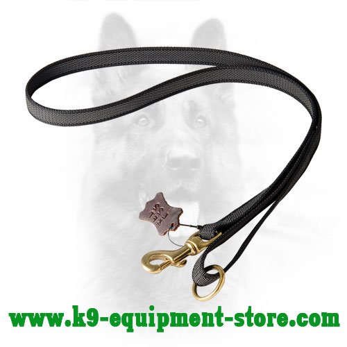 Multimode Nylon Dog Leash with Brass Floating Ring