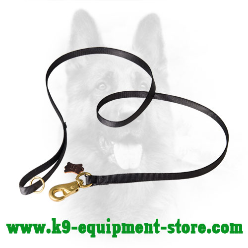 Water Resistant Nylon Dog Lead with Brass Hardware