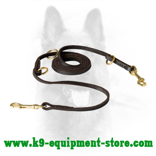Canine Dog Lead Leather with Brass Hardware
