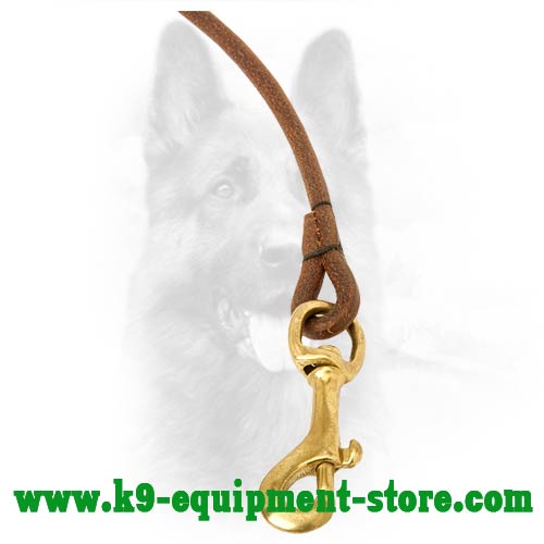 Leather Leash with Snap Hook