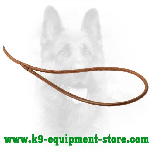 K9 Leash with Round Handle