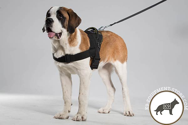 Moscow-Watchdog nylon-leash with corrosion resistant hardware for daily activity