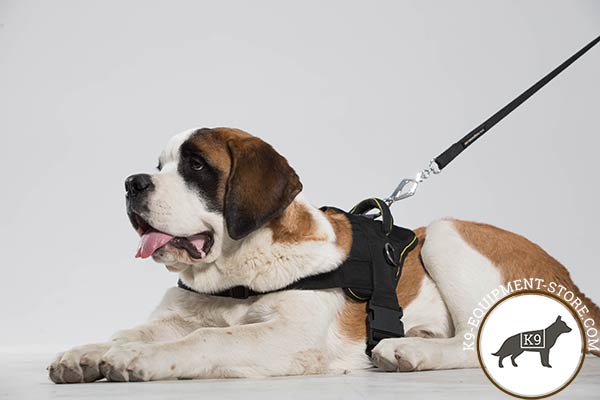 Moscow Watchdog nylon leash with strong nickel plated hardware for professional use