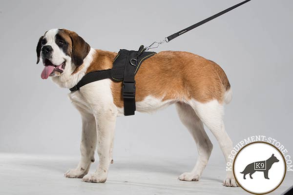Moscow Watchdog nylon leash with reliable nickel plated hardware for quality control