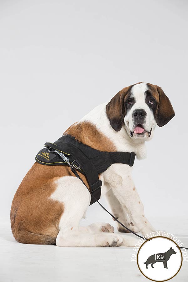 Moscow-Watchdog nylon-leash with corrosion resistant nickel plated hardware for improved control