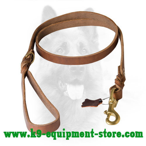 Durable Walking and Training Leather K9 Leash with Braids