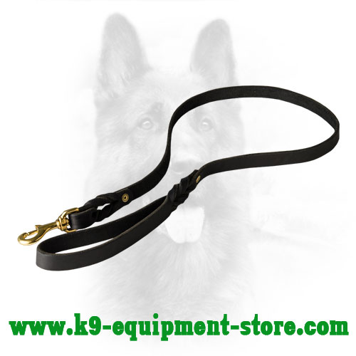 Canine Leather Dog Lead for Walking and Training